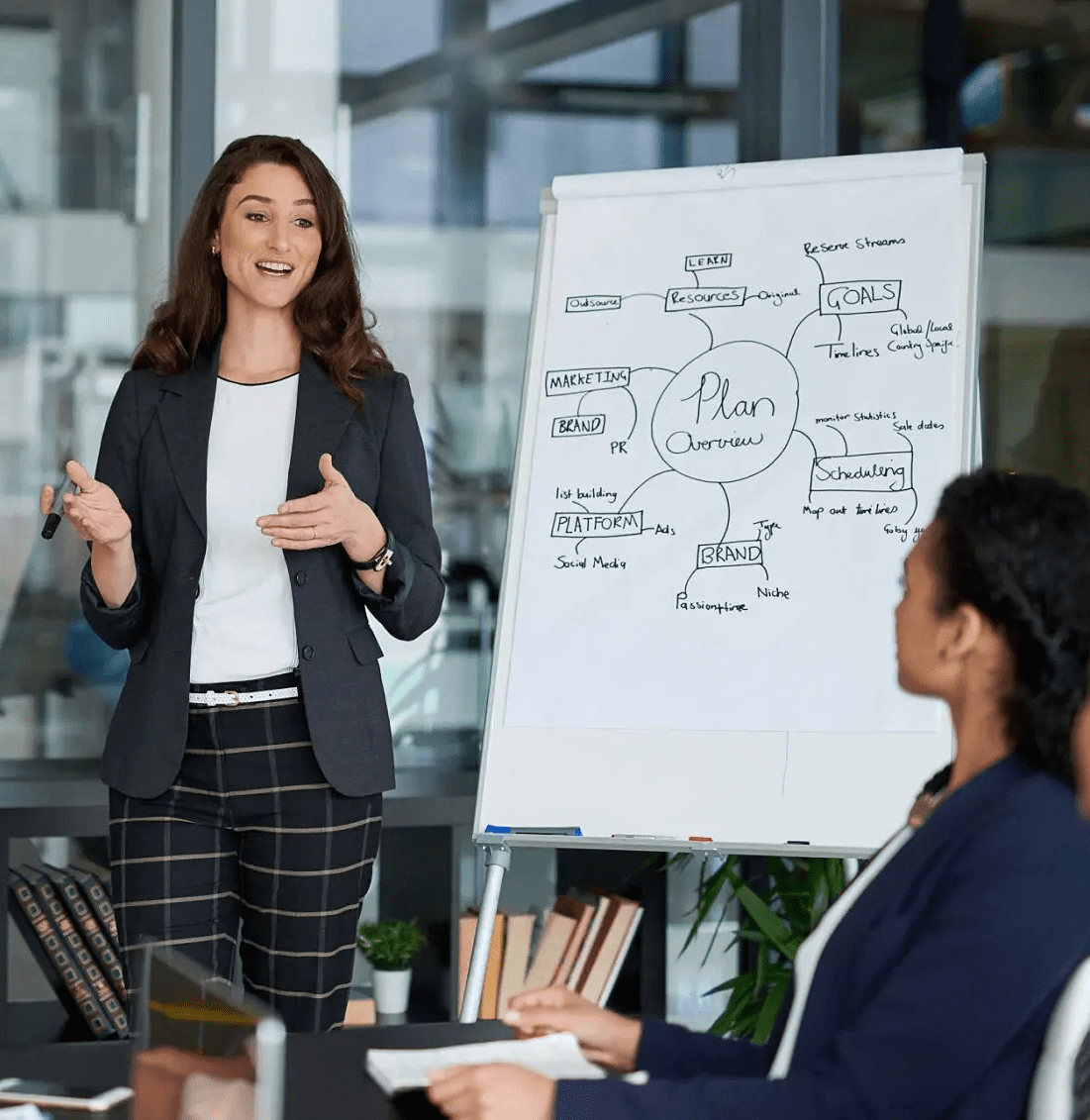 Business Strategy & Model Development
